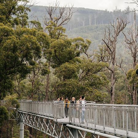 Tahune Airwalk Cabin And Lodge Geeveston Esterno foto