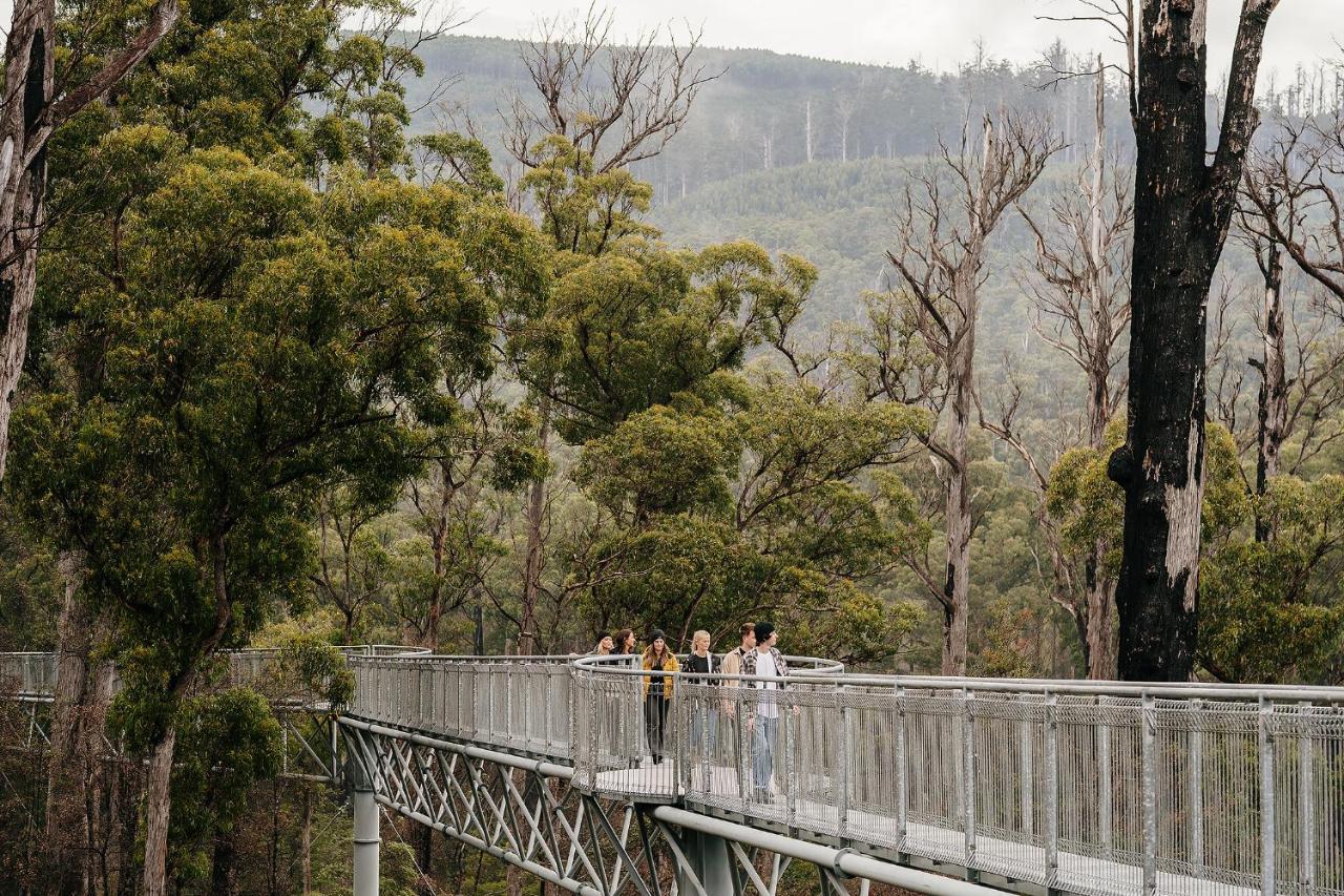Tahune Airwalk Cabin And Lodge Geeveston Esterno foto