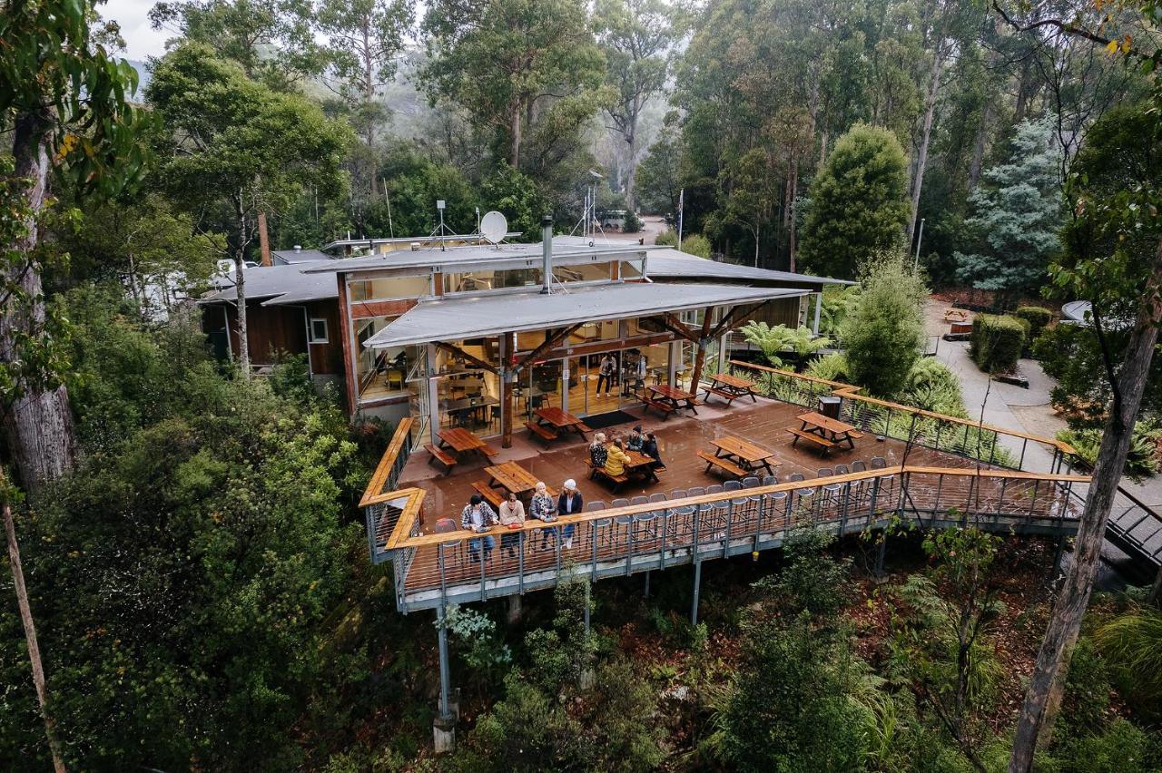 Tahune Airwalk Cabin And Lodge Geeveston Esterno foto