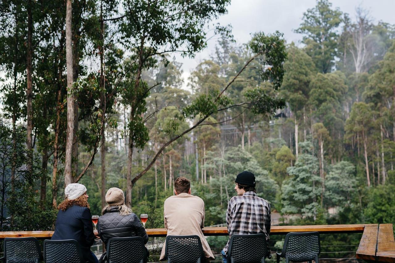 Tahune Airwalk Cabin And Lodge Geeveston Esterno foto