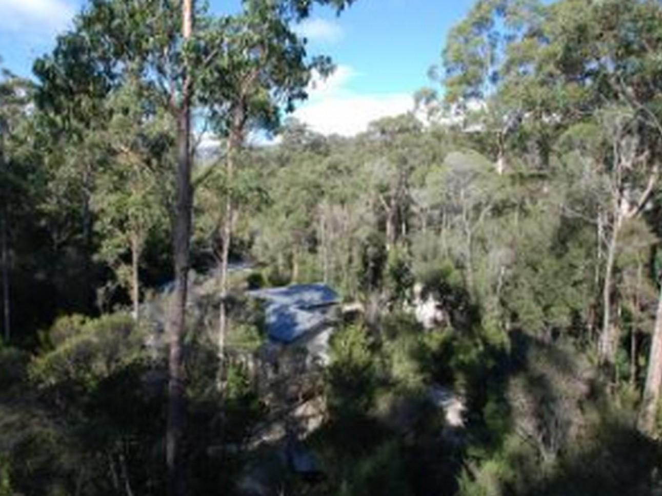 Tahune Airwalk Cabin And Lodge Geeveston Esterno foto