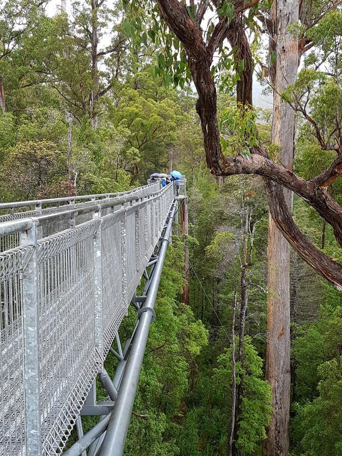 Tahune Airwalk Cabin And Lodge Geeveston Esterno foto