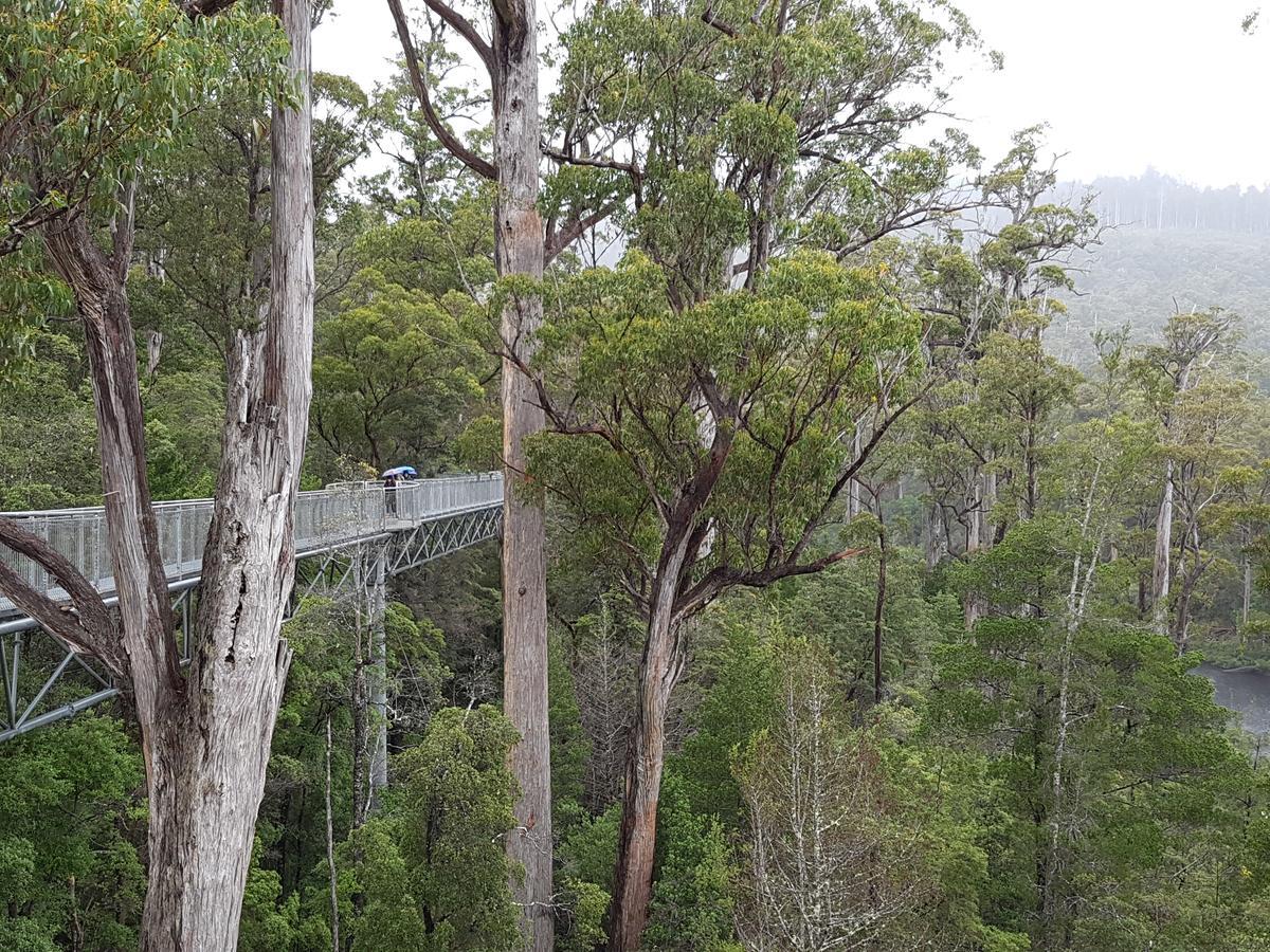 Tahune Airwalk Cabin And Lodge Geeveston Esterno foto