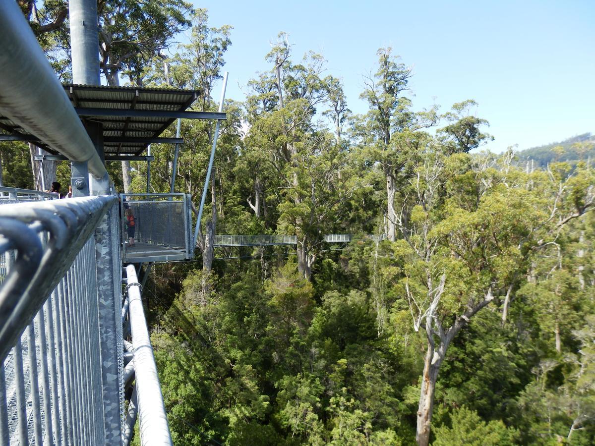 Tahune Airwalk Cabin And Lodge Geeveston Esterno foto
