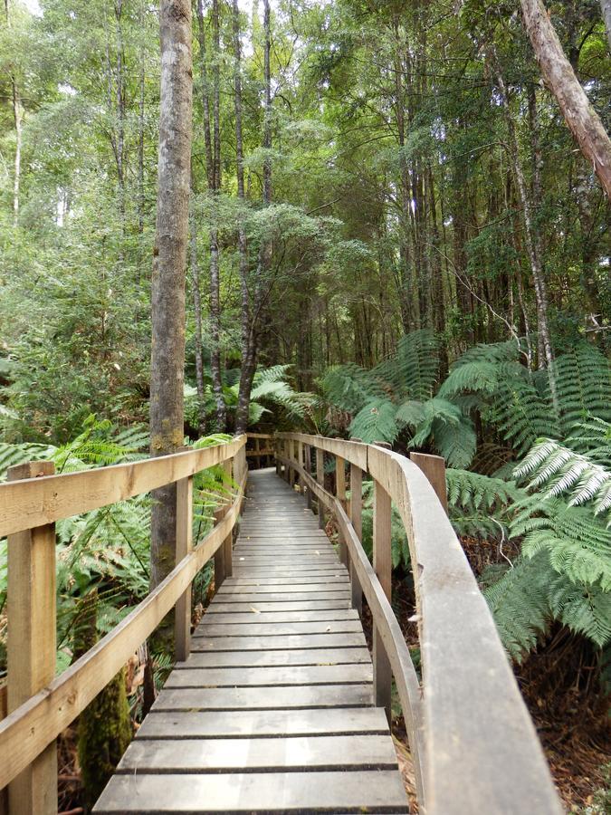 Tahune Airwalk Cabin And Lodge Geeveston Esterno foto