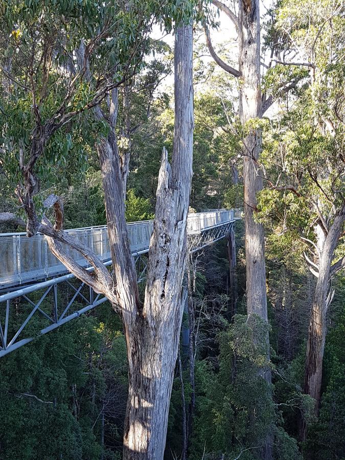 Tahune Airwalk Cabin And Lodge Geeveston Esterno foto