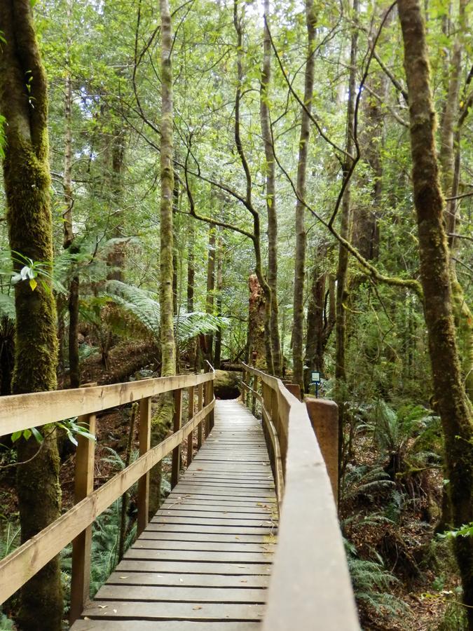 Tahune Airwalk Cabin And Lodge Geeveston Esterno foto