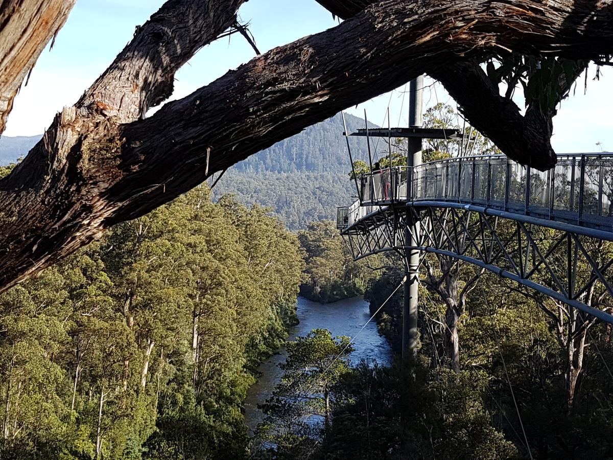 Tahune Airwalk Cabin And Lodge Geeveston Esterno foto